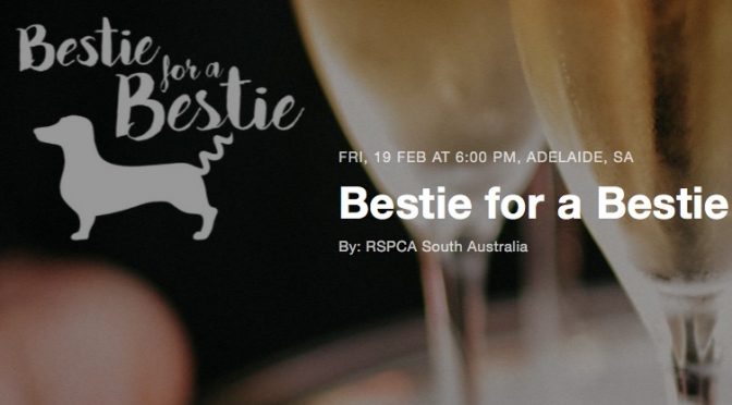 BESTIE for a BESTIE RSPCA Government House
